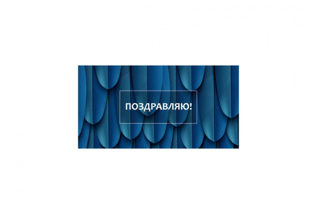 Конверт для денег Optima Поздравляю! синие перья