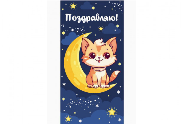 Конверт для денег Optima Поздравляем! кошечка на месяце