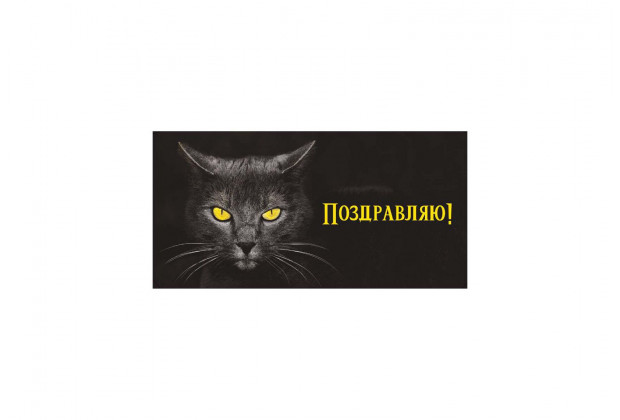 Конверт для денег Soft Touch Поздравляю! кот на черном