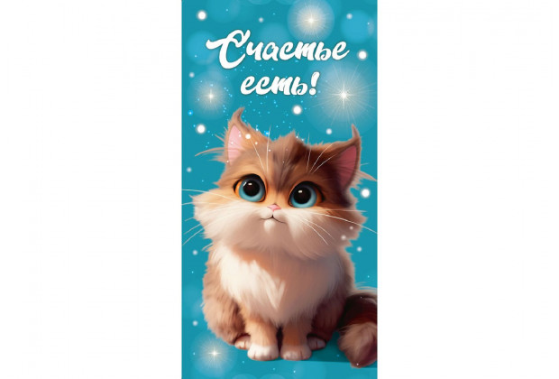 Конверт для денег Dream Cards Счастье есть, холст котенок