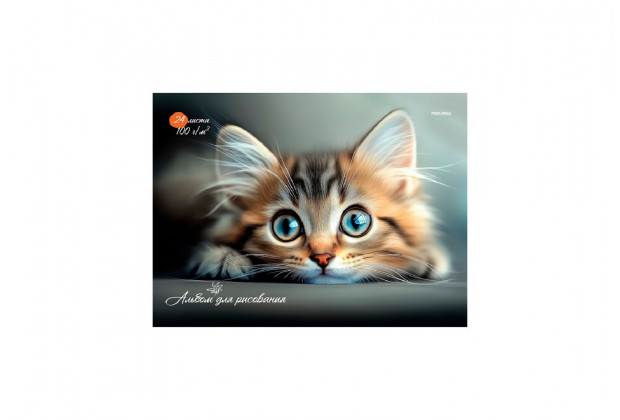 Альбом 24л А4 КОТЕНОК 2 клеевой