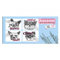 Альбом 12л А4 "ЭМОЦИИ" 2 скобы, Феникс